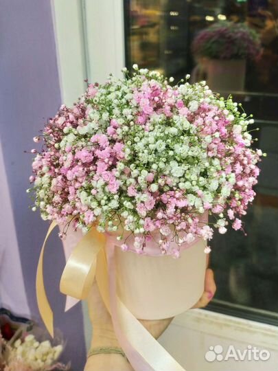 Гипсофила в коробке