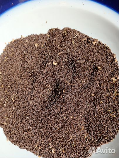 Семена табака