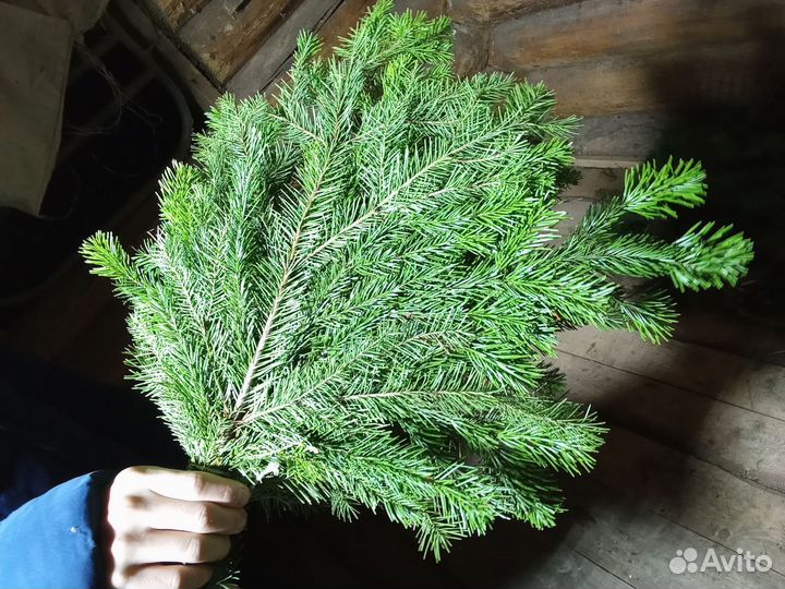 Пихтовая лапка