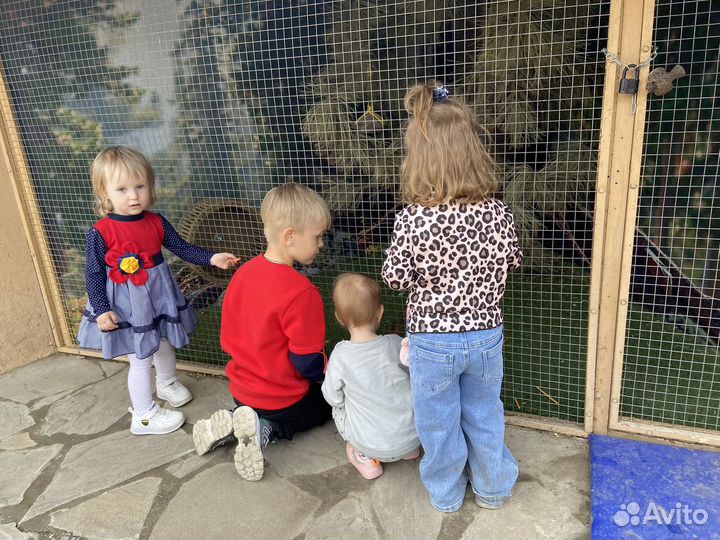 Няня на своей территории