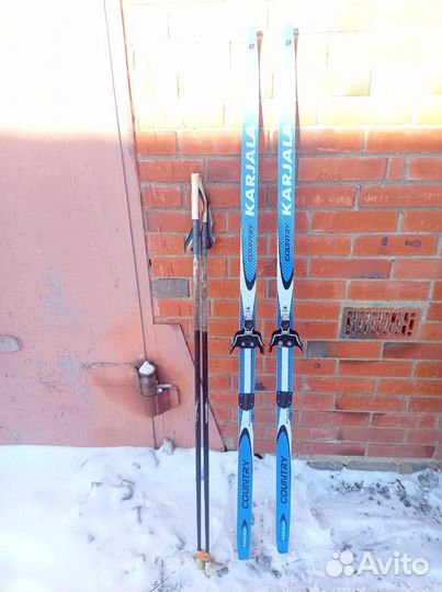 Беговые лыжи