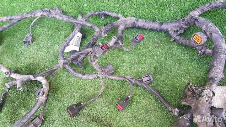 Проводка двс Ford Focus DA aoda 2007