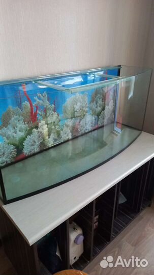 Аквариум 230л