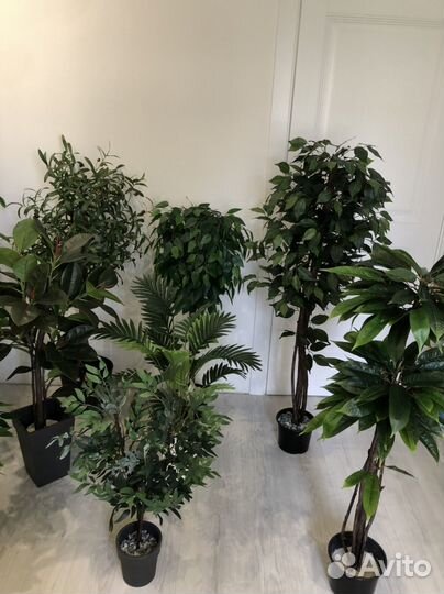 Искусственные растения для декора