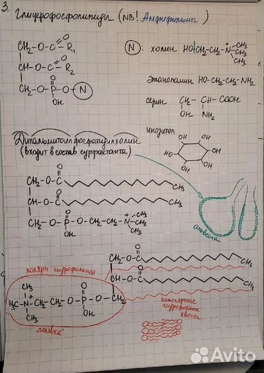 Репетитор по химии и медицинским предметам