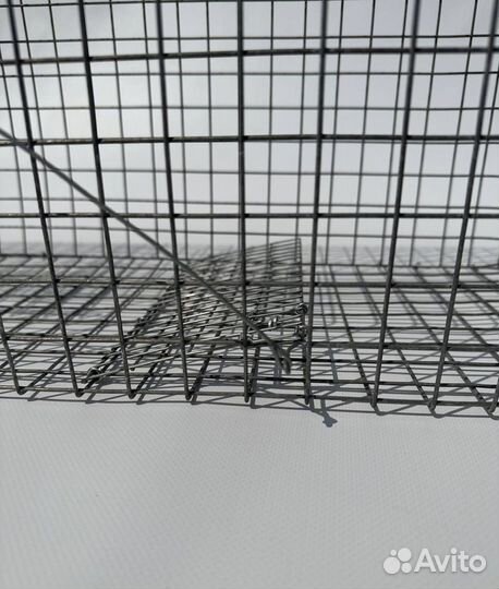 Ловушка для ласок,хорьков,котов