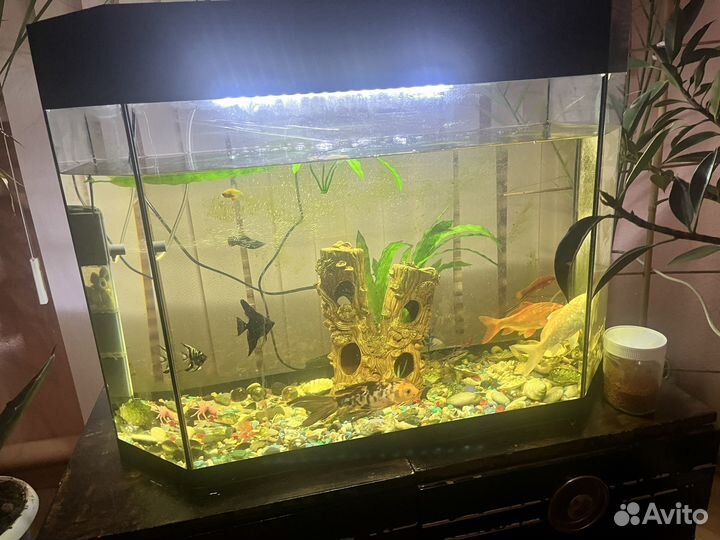 Аквариум