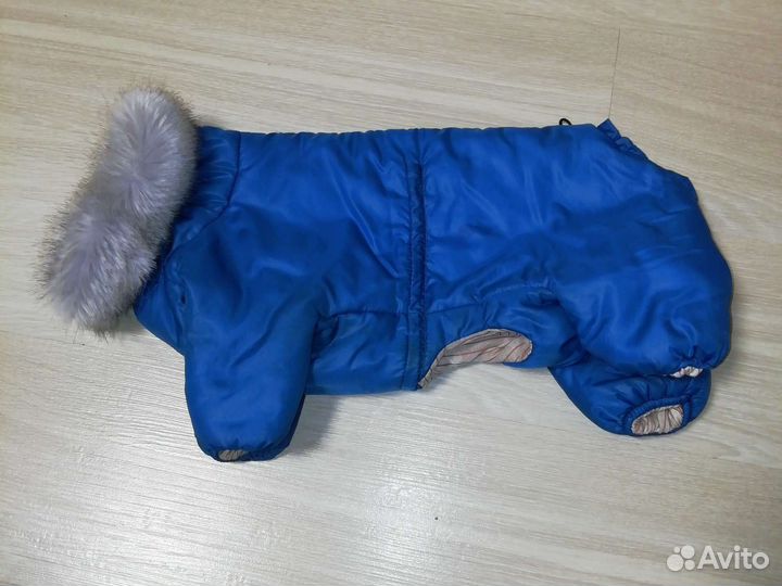 Одежда для маленьких пород собак