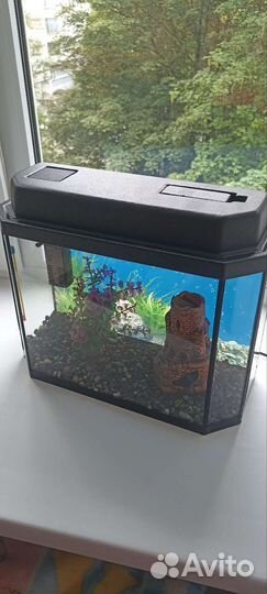 Аквариум