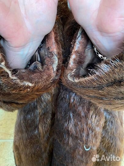 Шуба нутрия