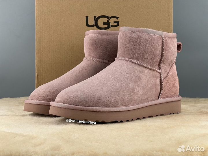 Угги женские Ugg Classic Mini II Dusk