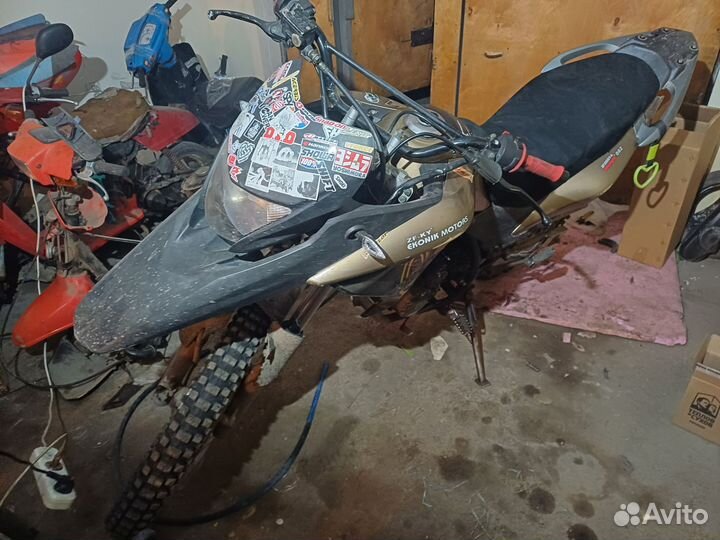 Эконика sport-002