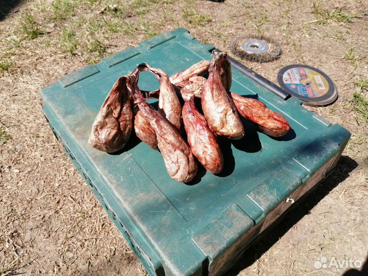 Барсучий жир с Алтая