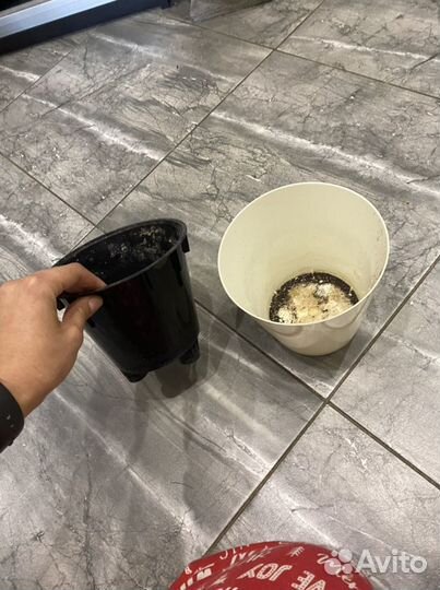 Белые горшки