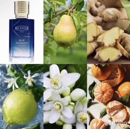 Парфюм унисекс Blue Talisman Ex Nihilo