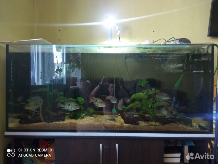 Аквариум