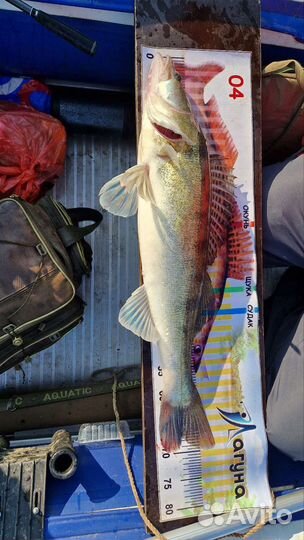 Силиконовые приманки