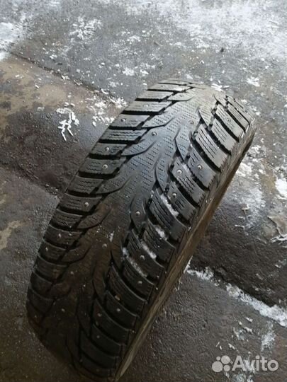 Nexen Winguard WinSpike WH62 195/65 R15