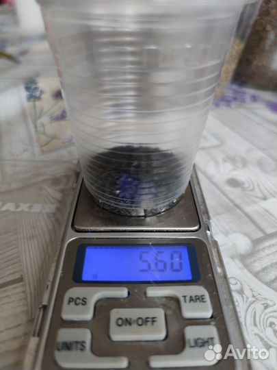 Джусай семена