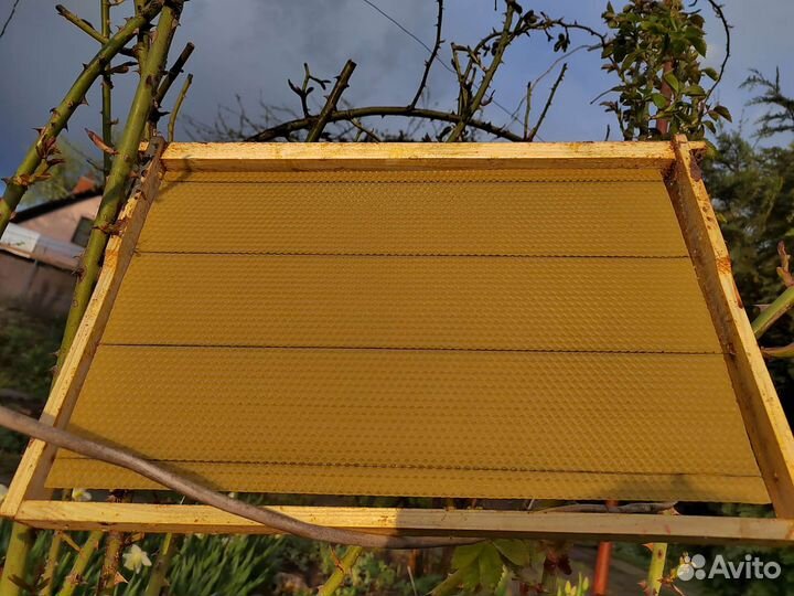 Рамки с вощиной Дадан. Сушь. Обмен возможен