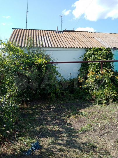 Дом 49,7 м² на участке 9,54 га