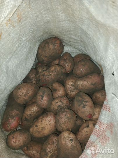 Продается все