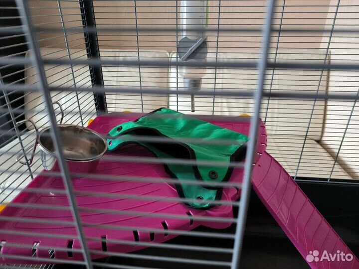 Клетка для грызунов (Бельгия)