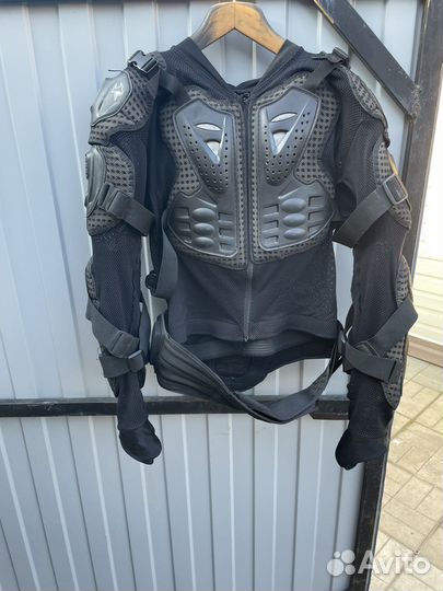 Моточерепаха