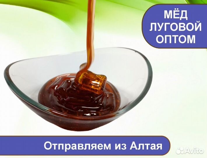 Натуральный мёд 2023 г (оптом)