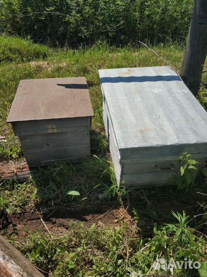 Продам ульи для пчел