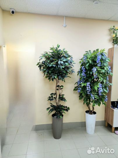 Деревья искусственные Премиум Фикус цветок