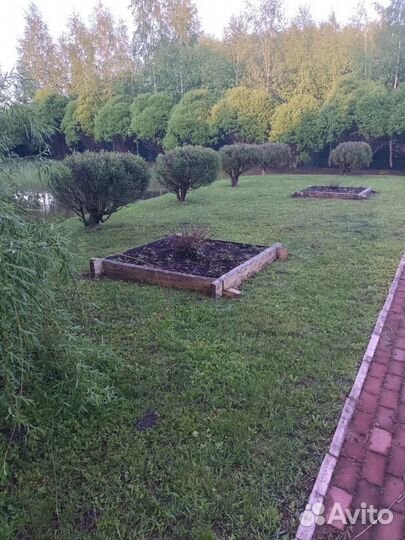 Покос травы