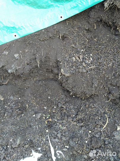 Продам перегной