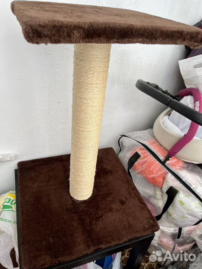 Когтеточка