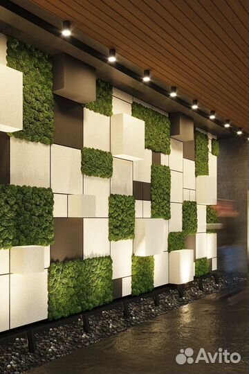 Панно из стабилизированного мха/ картины из мха