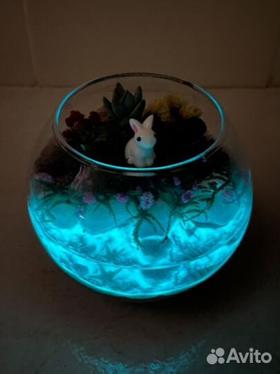 Мини флорариум с суккулентами