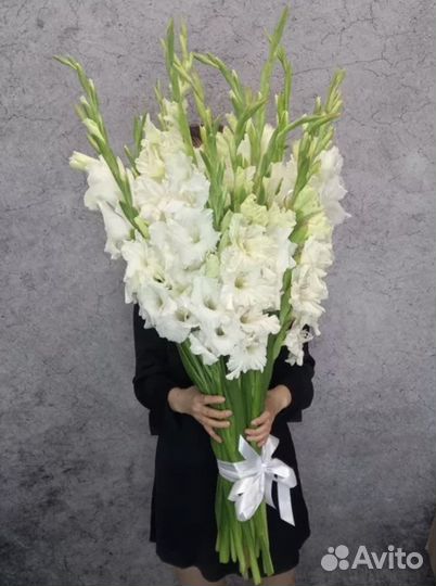 Букеты с гладиолусами Цветы Доставка Гладиолусы