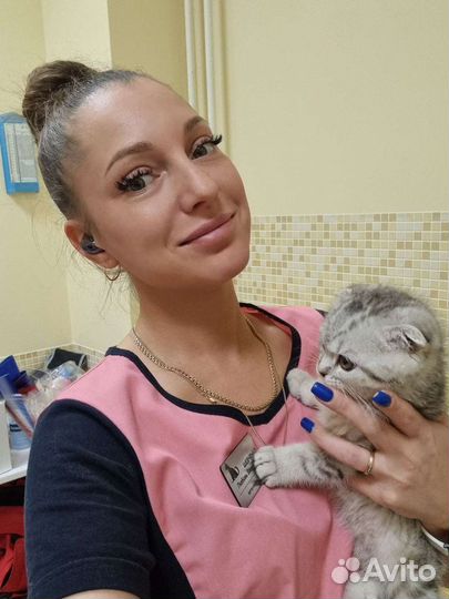 Ветеринарный врач онлайн консультации