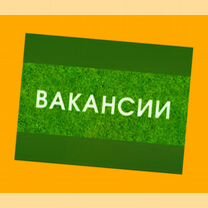 Грузчик Вахта Проживание/Еда Выплаты еженедельно