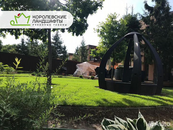 Рулонный газон