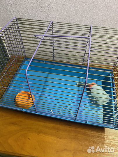 Клетка для грызунов