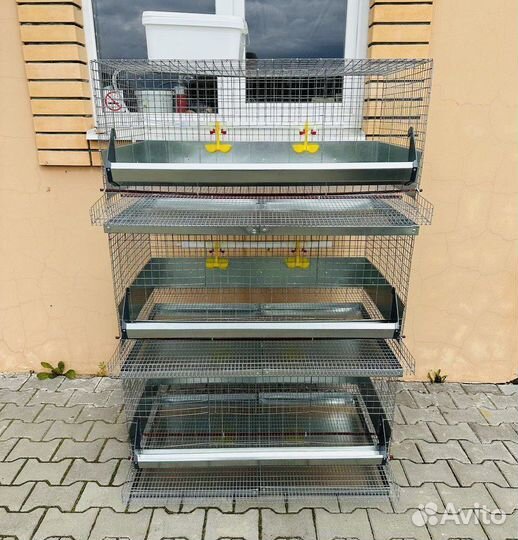 Клетки для кур несушек на 30 голов