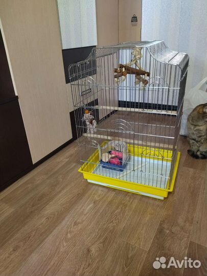 Большая клетка для птиц