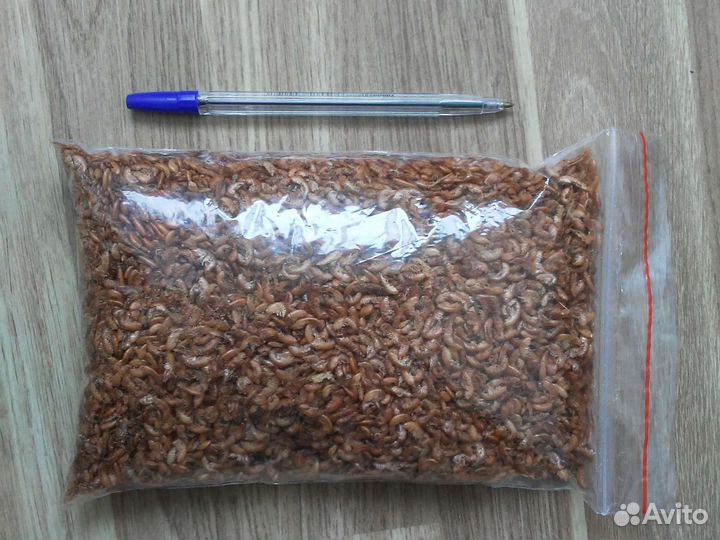 Аулофорус, трубочник Изя,нематода, гаммарус и др