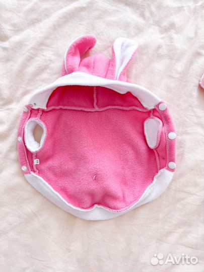 Два костюма для собак