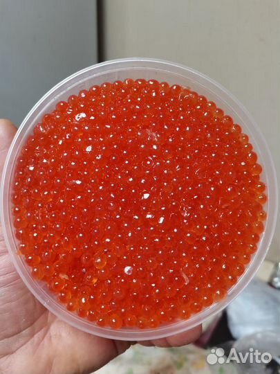 Красная икра кета 2024 хабаровский край