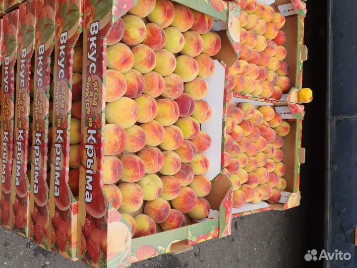 Персик крымский