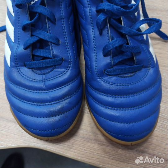 Футзальные бутсы adidas copa