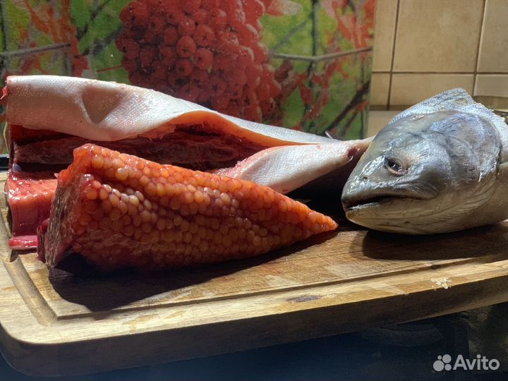 Семга мурманская