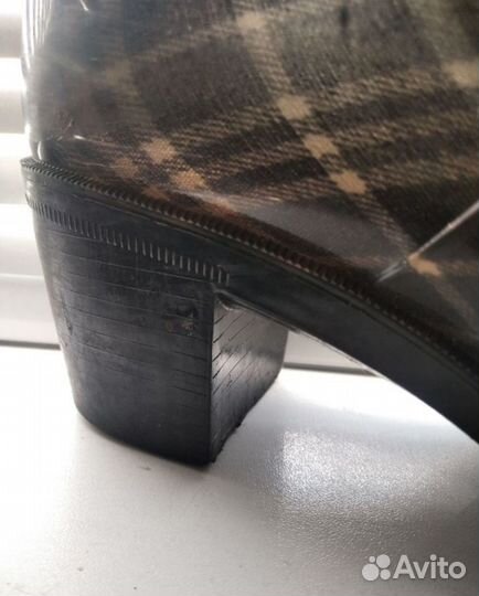 Женские сапоги Cool look 38 размер